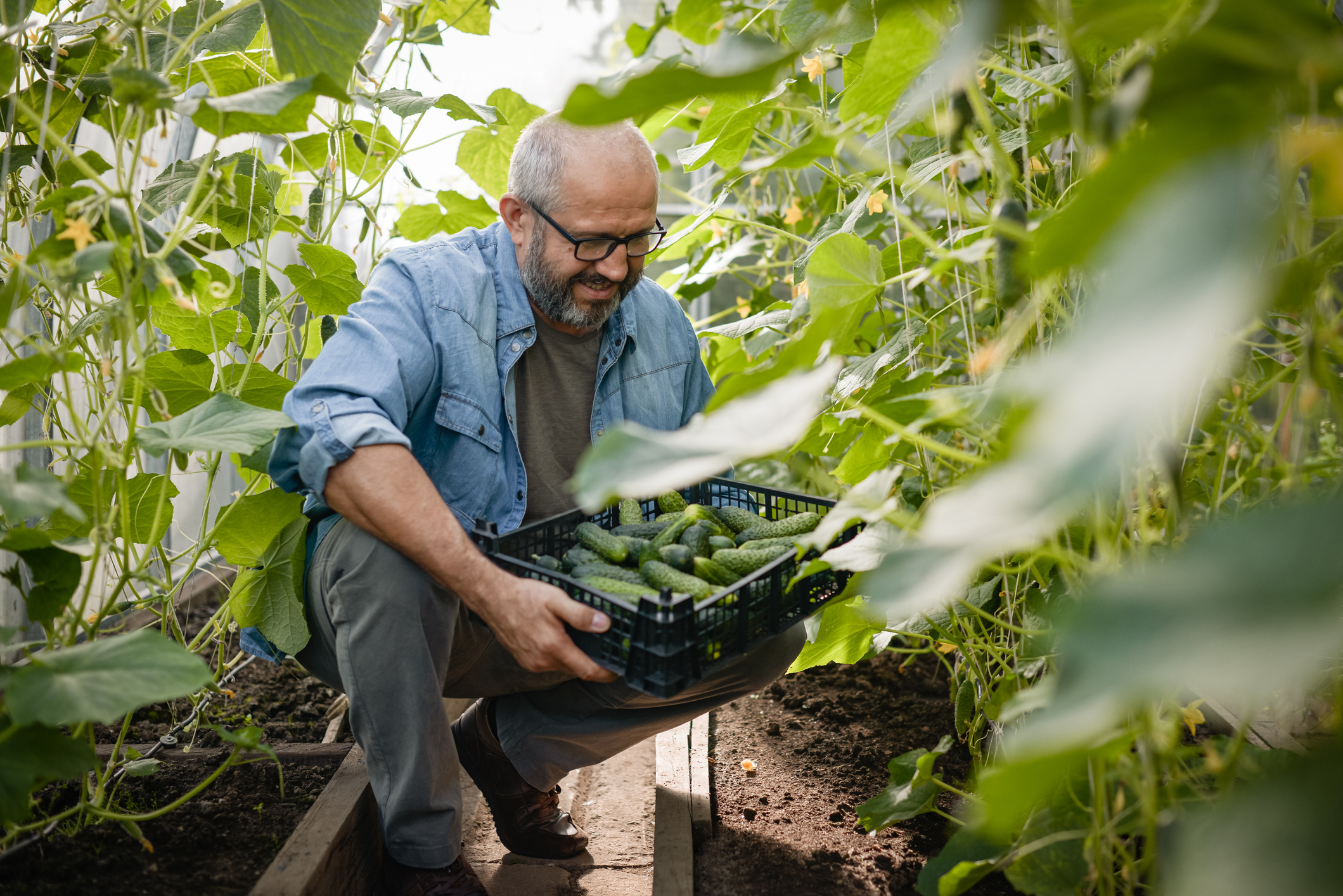 Inicio 12 - Compensa Agroinnovación