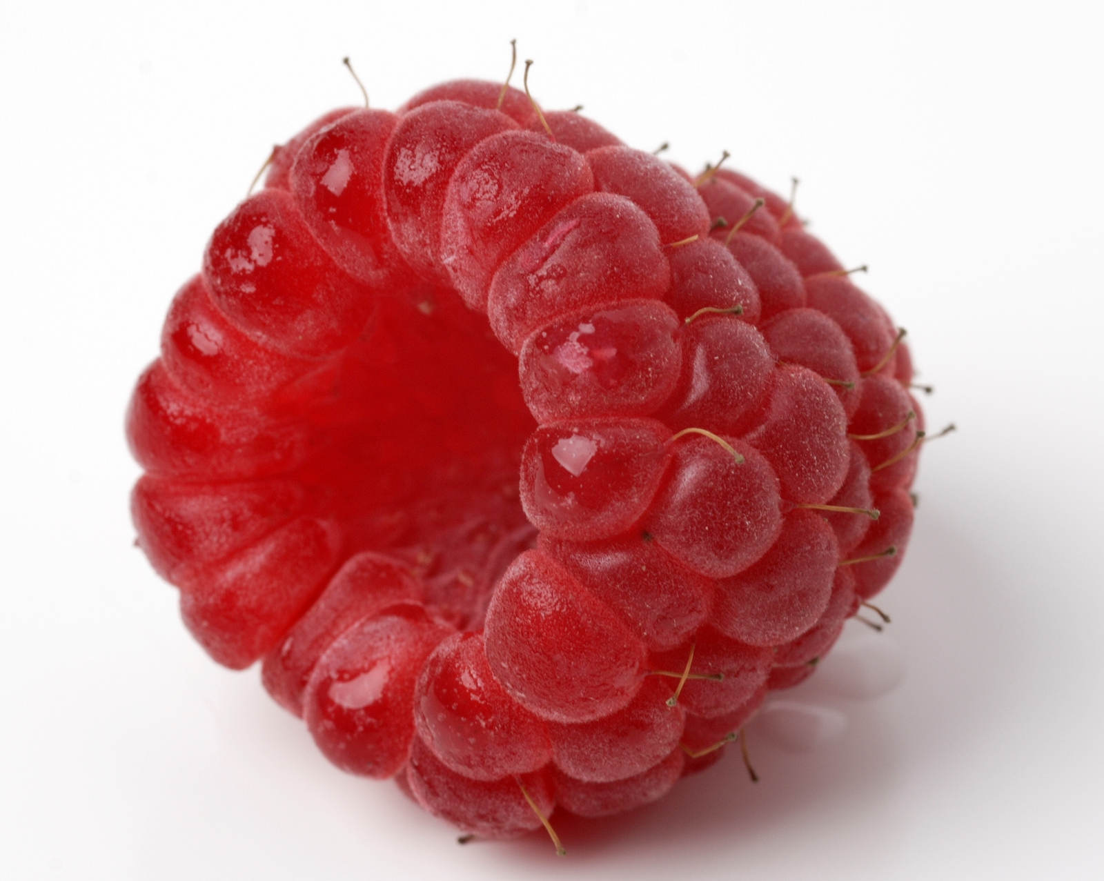 Conocenos 8 - Compensa Agroinnovación